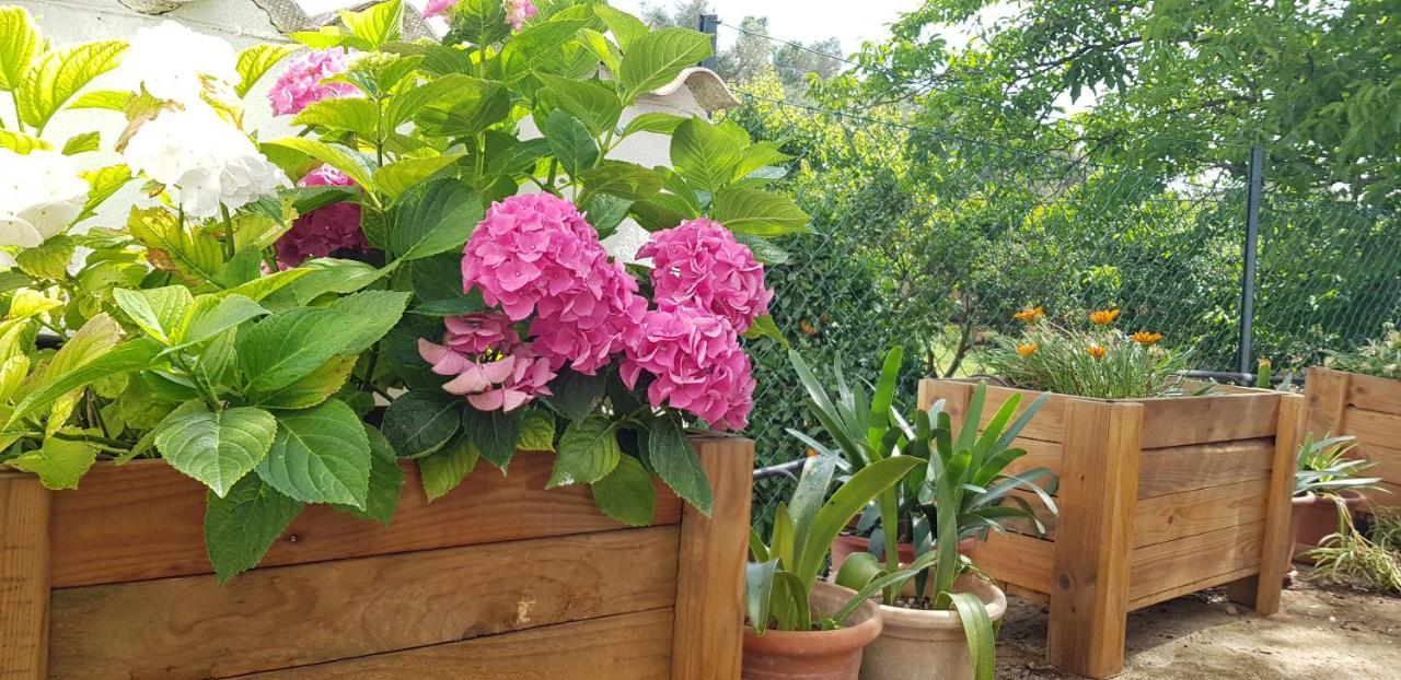 Sa Cova De Mallorca Сasa de vacaciones Sencelles