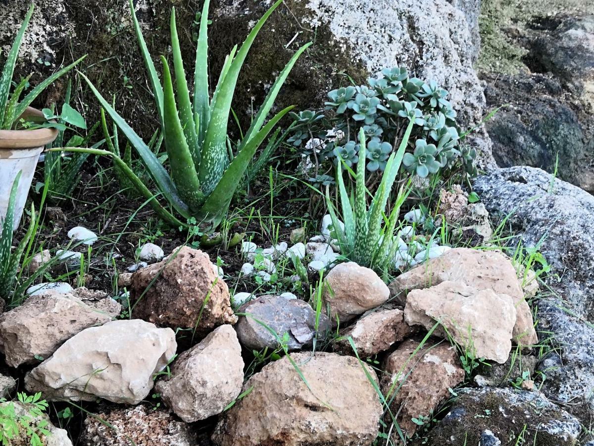 Sa Cova De Mallorca Сasa de vacaciones